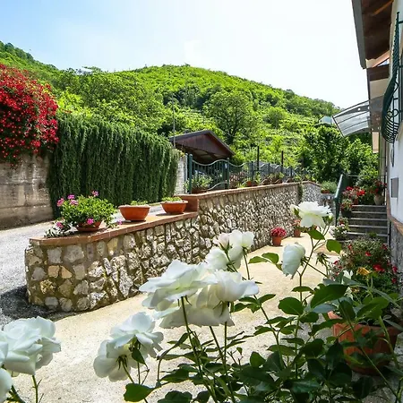 Di Sole 트라몬티