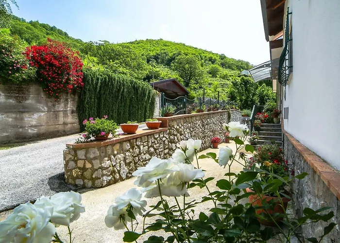 Di Sole トラモンティ